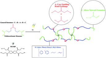 Graphical abstract: Synthesis of novel trithiocarbonate and allyl sulfide containing monomers