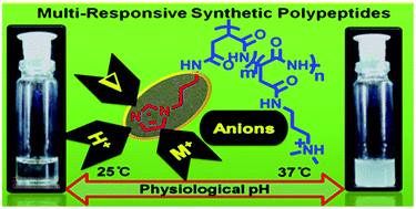 Graphical abstract: Pronounced influence of pH, metal-ion and solvent isotope on the thermoresponse of synthetic amphiphilic polypeptides