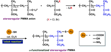 Graphical abstract: End-functional stereoregular poly(methyl methacrylate) with clickable C [[double bond, length as m-dash]] C bonds: facile synthesis and thiol–ene reaction