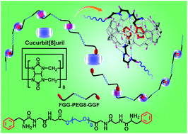 Graphical abstract: Water-soluble supramolecular polymers fabricated through specific interactions between cucurbit[8]uril and a tripeptide of Phe-Gly-Gly