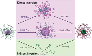 Graphical abstract: Direct and indirect core–shell inversion of block copolymer micelles