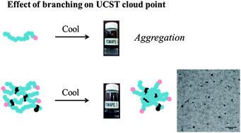 Graphical abstract: One-pot synthesis of responsive sulfobetaine nanoparticles by RAFT polymerisation: the effect of branching on the UCST cloud point