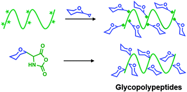 Graphical abstract: Recent advances in glycopolypeptide synthesis