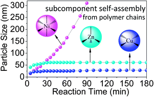 Graphical abstract: Subcomponent self-assembly of polymer chains based on dynamic and geometrical coordination diversity of the first row transition metal ions