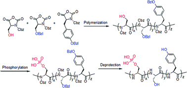 Graphical abstract: Synthesis of biomimetic co-polypeptides with tunable degrees of phosphorylation