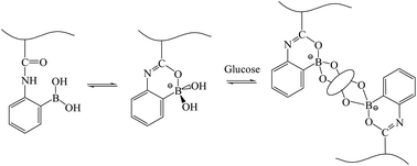 Graphical abstract: Contraction-type glucose-sensitive microgel functionalized with a 2-substituted phenylboronic acid ligand