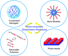 Graphical abstract: Photo-reversible dimerisation reactions and their applications in polymeric systems
