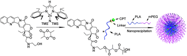 Graphical abstract: Anticancer camptothecin-N-poly(lactic acid) nanoconjugates with facile hydrolysable linker