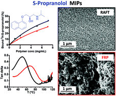 Graphical abstract: On the effect of using RAFT and FRP for the bulk synthesis of acrylic and methacrylic molecularly imprinted polymers