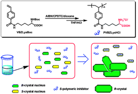 Graphical abstract: Controlled synthesis of chiral polymers for the kinetic resolution of racemic amino acids