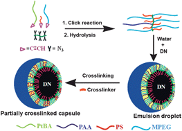 Graphical abstract: Emulsion and nanocapsules of ternary graft copolymers
