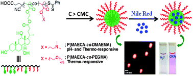 Graphical abstract: Synthesis via RAFT polymerization of thermo- and pH-responsive random copolymers containing cholic acid moieties and their self-assembly in water