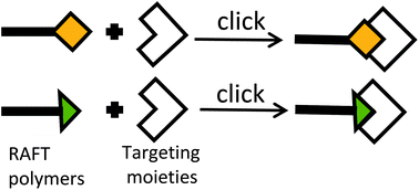 Graphical abstract: Click chemistry as a powerful and chemoselective tool for the attachment of targeting ligands to polymer drug carriers