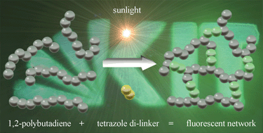 Graphical abstract: Sunlight-induced crosslinking of 1,2-polybutadienes: access to fluorescent polymer networks