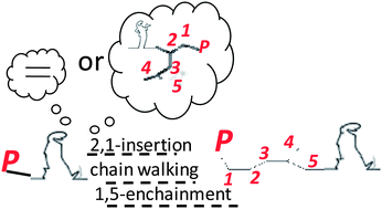 Graphical abstract: Ethylene–4-methyl-1-pentene copolymers of complex chain architecture using α-diimine Ni(ii) catalysts: synthesis, 13C NMR assignment and understanding the chain-walking mechanism