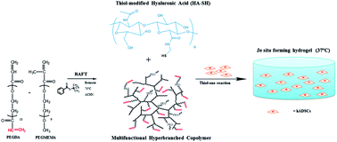 Graphical abstract: In situ formed hybrid hydrogels from PEG based multifunctional hyperbranched copolymers: a RAFT approach