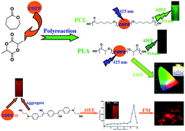 Graphical abstract: Synthesis and characterization of a novel cyanostilbene derivative and its initiated polymers: aggregation-induced emission enhancement behaviors and light-emitting diode applications