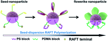 Graphical abstract: Seeded dispersion RAFT polymerization and synthesis of well-defined ABA triblock copolymer flower-like nanoparticles
