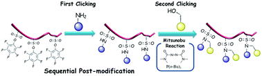 Graphical abstract: Sequential post-polymerization modification reactions of poly(pentafluorophenyl 4-vinylbenzenesulfonate)