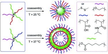 Graphical abstract: Thermo, pH and reduction responsive coaggregates comprising AB2C2 star terpolymers for multi-triggered release of doxorubicin