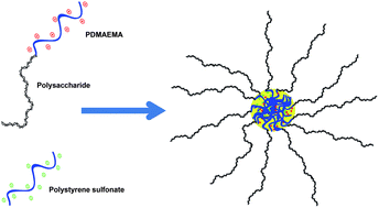 Graphical abstract: Interpolyelectrolyte complexes with a polysaccharide corona from dextran-block-PDMAEMA diblock copolymers