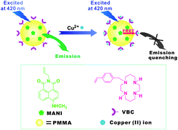 Graphical abstract: One-pot fabrication of polymer nanoparticle-based chemosensors for Cu2+ detection in aqueous media