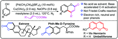 Graphical abstract: Palladium-catalyzed base-accelerated direct C–H bond alkenylation of phenols to synthesize coumarin derivatives