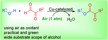 Graphical abstract: A Cu-catalyzed practical approach to α-ketoesters under air: an efficient aerobic oxidative dehydrogenative coupling of alcohols and α-carbonyl aldehydes