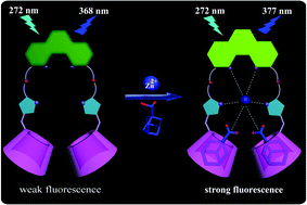 Graphical abstract: Phenanthroline bridged bis(β-cyclodextrin)s/adamantane-carboxylic acid supramolecular complex as an efficient fluorescence sensor to Zn2+