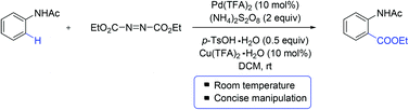 Graphical abstract: Palladium-catalyzed direct ortho-C–H ethoxycarboxylation of anilides at room temperature