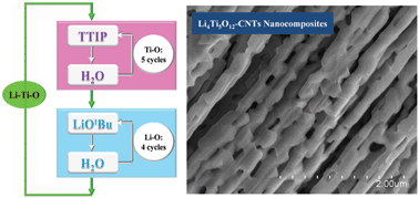 Graphical abstract: Atomic layer deposited Li4Ti5O12 on nitrogen-doped carbon nanotubes