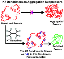 Graphical abstract: Dendrons and dendrimers as pseudochaperonins for refolding of proteins