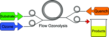 Graphical abstract: Ozonolysis of some complex organic substrates in flow