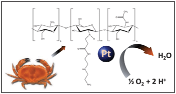 Graphical abstract: Hybrid chitosan derivative–carbon support for oxygen reduction reactions