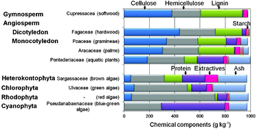 Graphical abstract: Comparative study on chemical composition of various biomass species