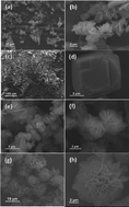 Graphical abstract: Fabrication of hierarchical flower-like super-structures consisting of porous NiCo2O4 nanosheets and their electrochemical and magnetic properties