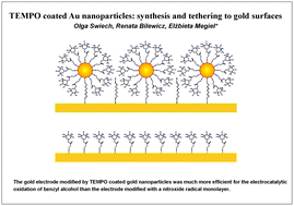 Graphical abstract: TEMPO coated Au nanoparticles: synthesis and tethering to gold surfaces