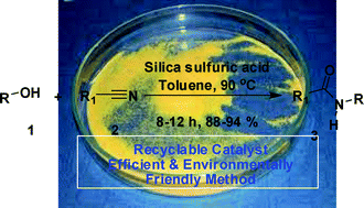 Graphical abstract: Silica sulfuric acid: a reusable solid catalyst for the synthesis of N-substituted amides via the Ritter reaction