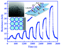 Graphical abstract: Enhanced ethanol sensing performance of porous ultrathin NiO nanosheets with neck-connected networks