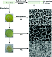 Graphical abstract: Enhanced bioactivity and bacteriostasis effect of TiO2 nanofilms with favorable biomimetic architectures on titanium surface