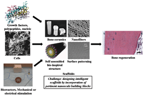 Graphical abstract: Scaffolds for bone tissue engineering: role of surface patterning on osteoblast response