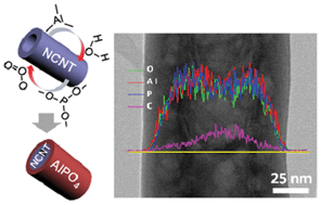 Graphical abstract: Atomic layer deposited aluminium phosphate thin films on N-doped CNTs