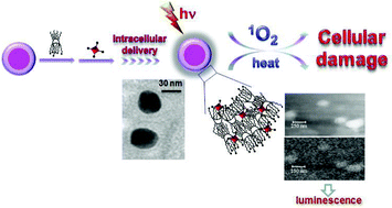 Graphical abstract: Supramolecular hybrid assemblies based on gold nanoparticles, amphiphilic cyclodextrin and porphyrins with combined phototherapeutic action