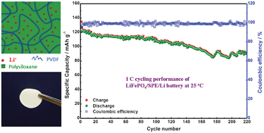 Graphical abstract: A wider temperature range polymer electrolyte for all-solid-state lithium ion batteries