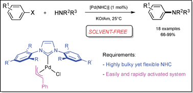 Graphical abstract: Solvent-free aryl amination catalysed by [Pd(NHC)] complexes