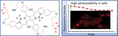 Graphical abstract: Click reaction-mediated functionalization of near-infrared pyrrolopyrrole cyanine dyes for biological imaging applications