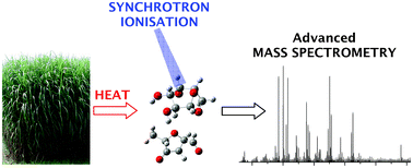 Graphical abstract: Revealing the chemistry of biomass pyrolysis by means of tunable synchrotron photoionisation-mass spectrometry