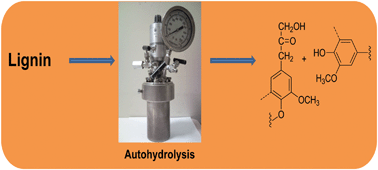 Graphical abstract: Investigation of the fate of poplar lignin during autohydrolysis pretreatment to understand the biomass recalcitrance