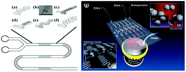 Graphical abstract: Surface-enhanced Raman scattering microfluidic sensor