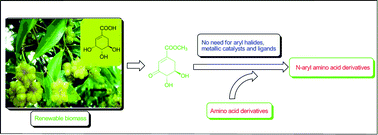 Graphical abstract: Facile and efficient N-arylation of amino acid esters with (−)-methyl-3-dehydroshikimiate(3-MDHS): a bio-based and metal-free strategy leading to N-aryl amino acid derivatives
